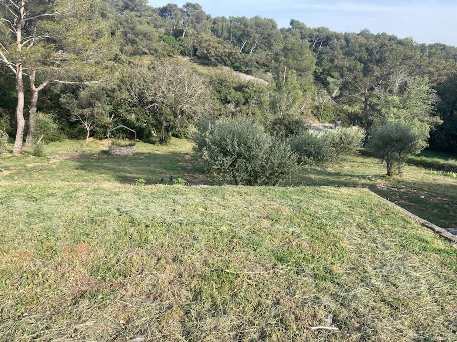 Magnifique Villa De Luxe Au Coeur De La Garrigue Νιμ Εξωτερικό φωτογραφία